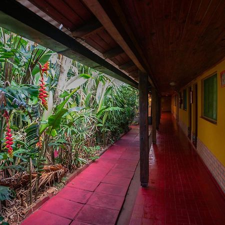 Hosteria Los Helechos Puerto Iguazú Kültér fotó