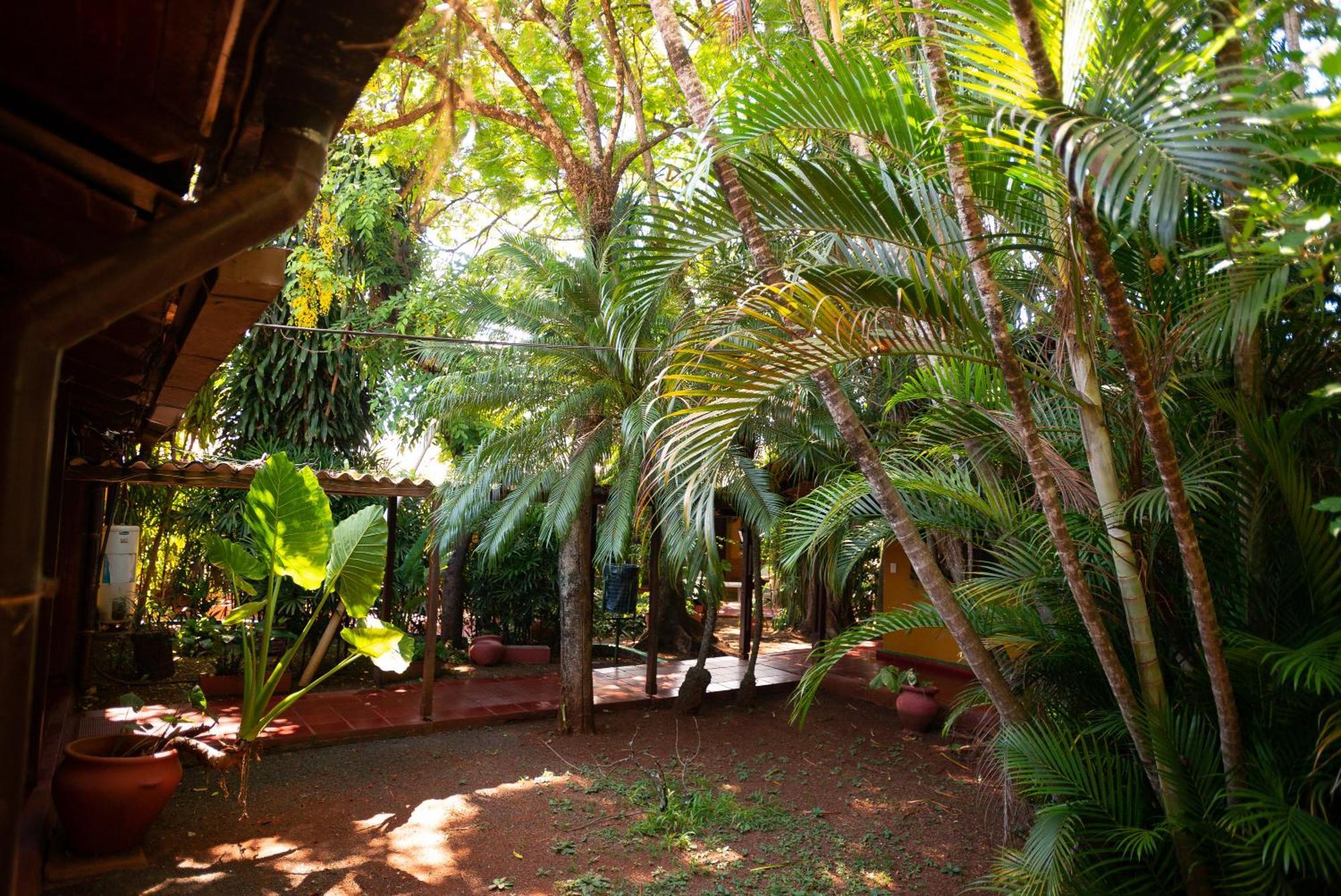 Hosteria Los Helechos Puerto Iguazú Kültér fotó